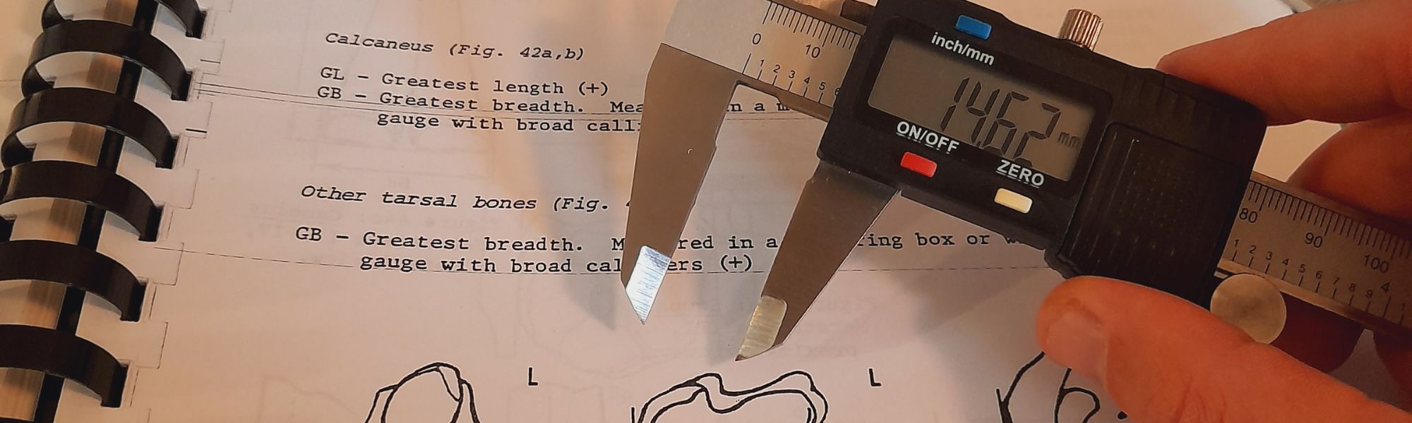 Cos’è la biometria